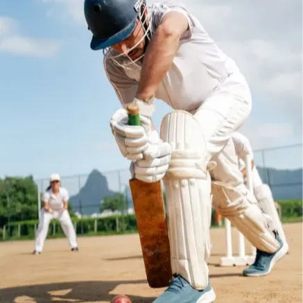 Cricket